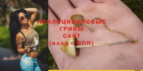 Альфа ПВП Балабаново
