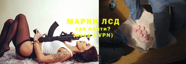 ГАЛЛЮЦИНОГЕННЫЕ ГРИБЫ Баксан