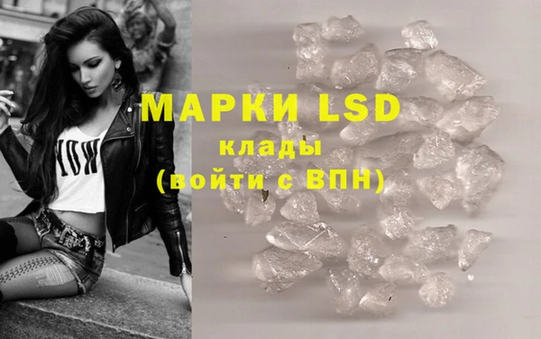 ГАЛЛЮЦИНОГЕННЫЕ ГРИБЫ Баксан