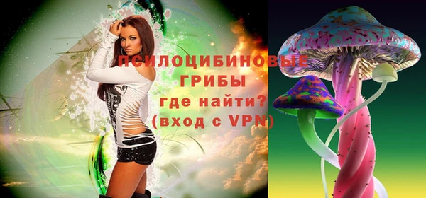 эйфоретик Балахна