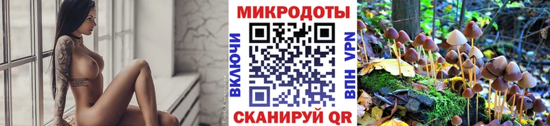 Купить где  Богородск  Галлюциногенные грибы прущие грибы 
